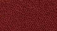 FENDER BORDEAUX Bordeaux